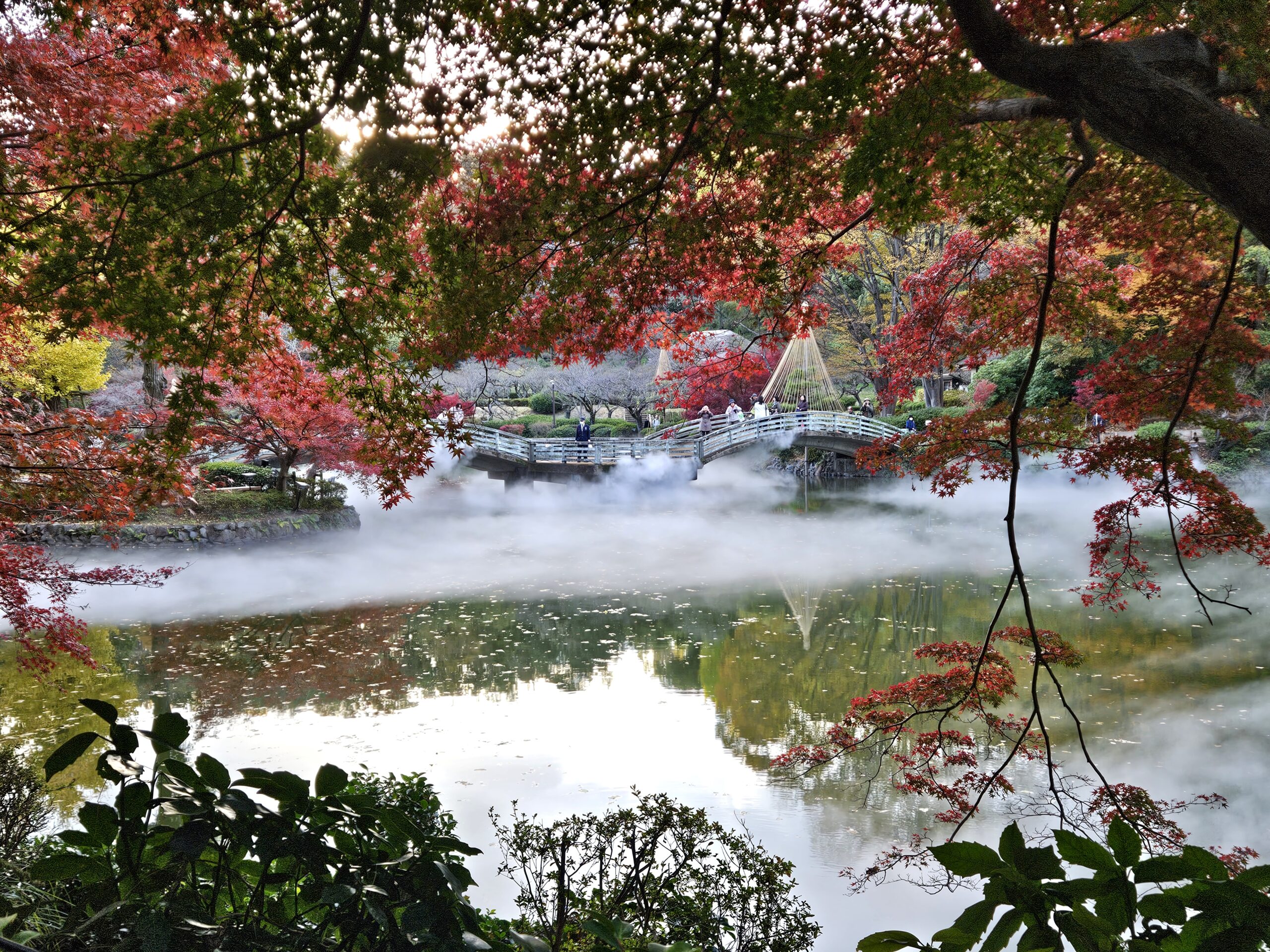 紅葉＆雲海